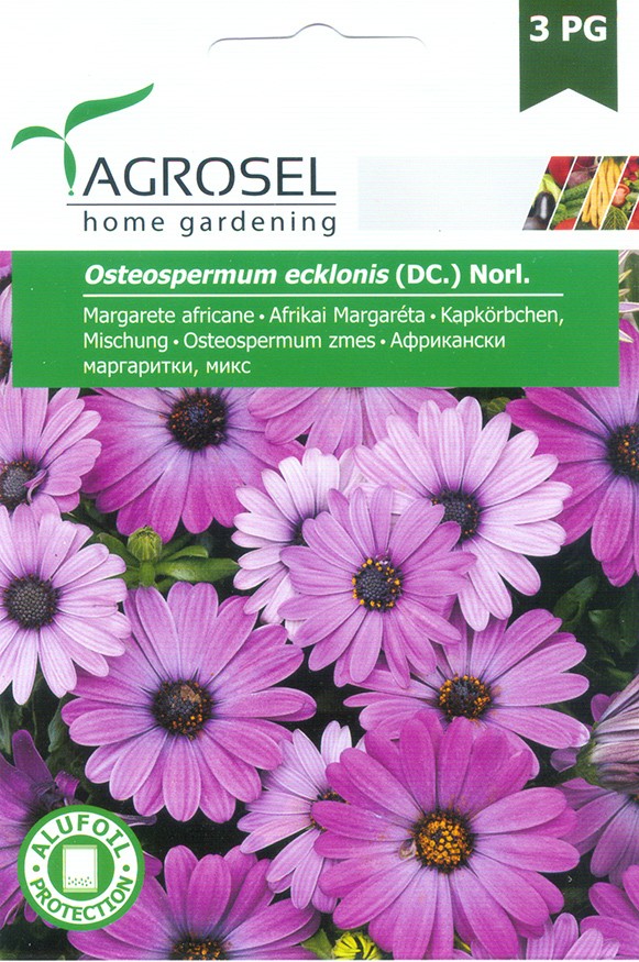Afrikai Margaréta, Osteospermum ecklonis (DC.) Norl. - 0,5 g, Peti-Kert 2013 Kft, Kaposvár