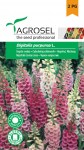 Gyűszűvirág színkeverék, Digitalis purpurea L., Agrosel, 5948872007268