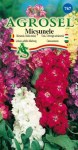 Teltvirágú viola színkeverék, Matthiola incana (L.) W.T. Aiton, Agrosel, 5948872007671