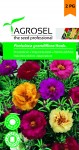 Teltvirágú porcsinrózsa színkeverék, Portulaca grandiflora Hook., Agrosel, 5948872007886