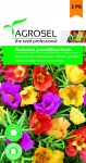 Porcsinrózsa színkeverék, Portulaca grandiflora Hook., Agrosel, 5948872014693