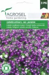 Csüngő lobélia színkeverék, Lobelia erinus L. var. pendula - 0,5 g, Peti-Kert 2013 Kft, Kaposvár
